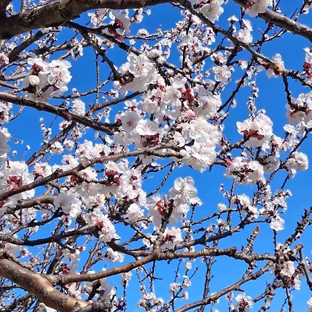 Makis & Poros (Kefalonia)