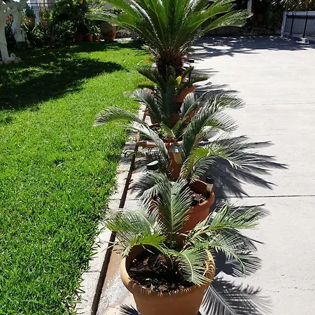 Makis & Апартаменты