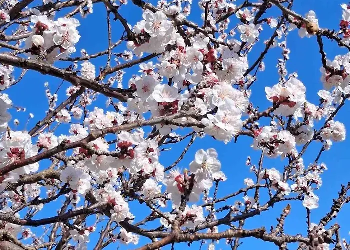 Makis & Poros (Kefalonia)